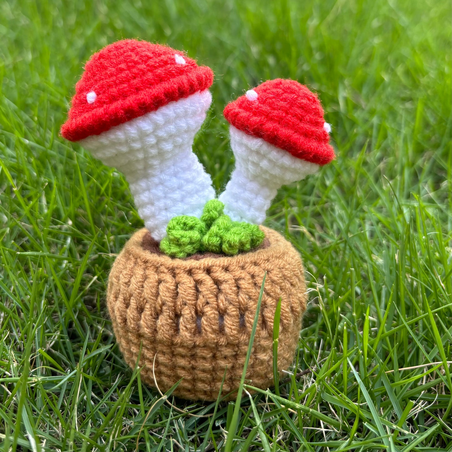 Handmade Home Decor Essential Crochet Two Head Mushroom Plant Pots